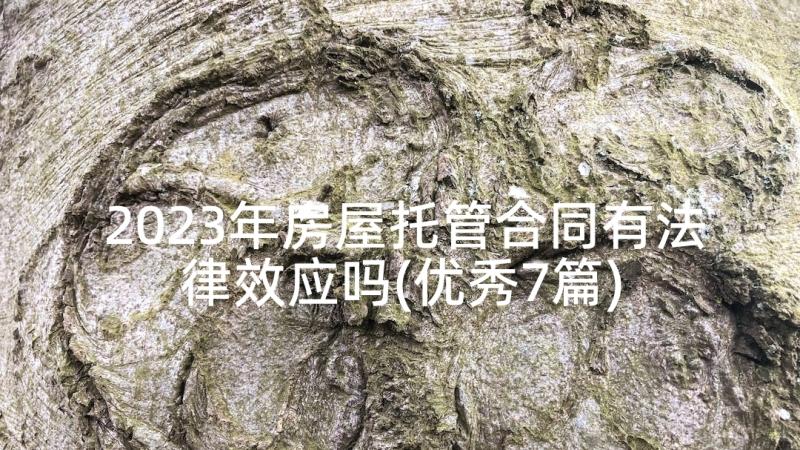 2023年房屋托管合同有法律效应吗(优秀7篇)