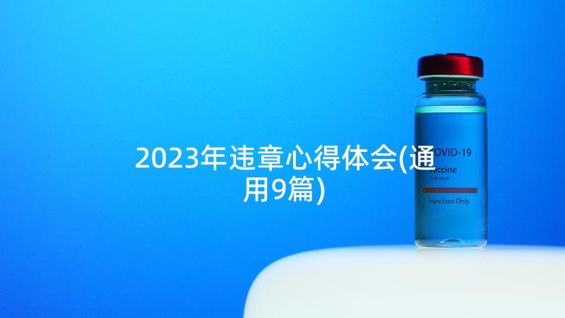 2023年违章心得体会(通用9篇)