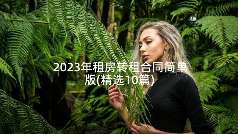 2023年租房转租合同简单版(精选10篇)