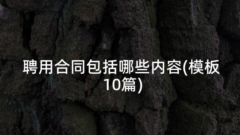 聘用合同包括哪些内容(模板10篇)