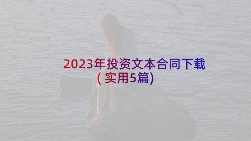 2023年投资文本合同下载(实用5篇)