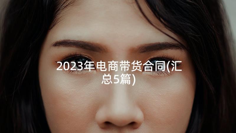 2023年电商带货合同(汇总5篇)