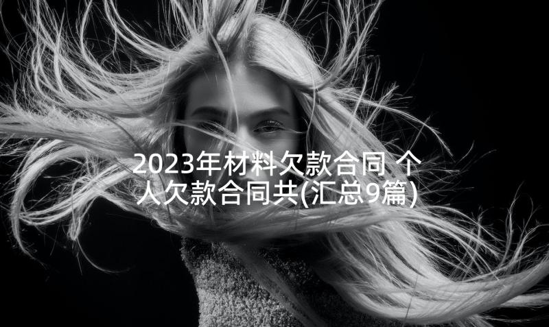 2023年材料欠款合同 个人欠款合同共(汇总9篇)