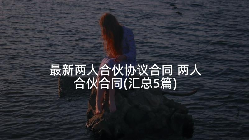 最新两人合伙协议合同 两人合伙合同(汇总5篇)