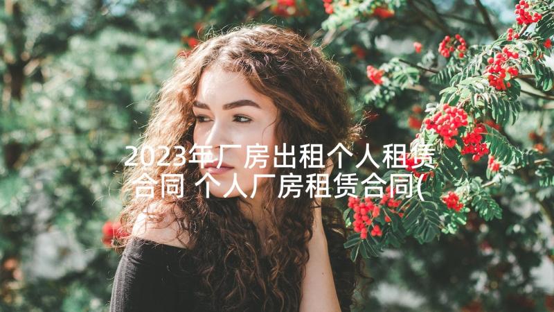 2023年厂房出租个人租赁合同 个人厂房租赁合同(汇总5篇)