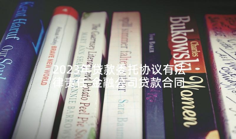 2023年贷款委托协议有法律责任 金融公司贷款合同(实用5篇)