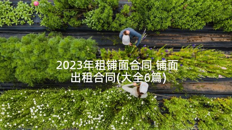 2023年租铺面合同 铺面出租合同(大全6篇)