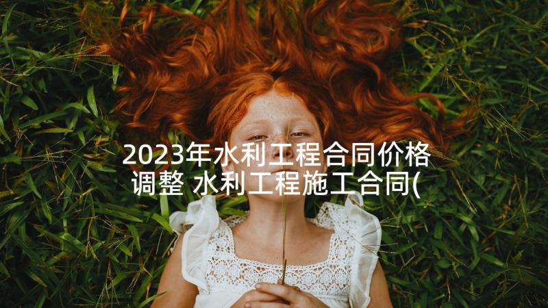 2023年水利工程合同价格调整 水利工程施工合同(优质5篇)