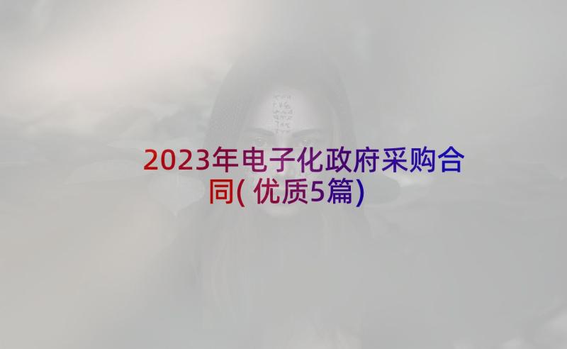 2023年电子化政府采购合同(优质5篇)