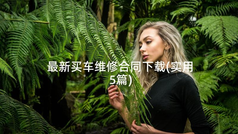 最新买车维修合同下载(实用5篇)