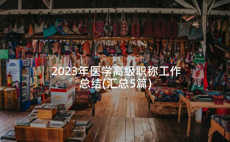 2023年医学高级职称工作总结(汇总5篇)