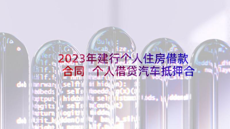 2023年建行个人住房借款合同 个人借贷汽车抵押合同(精选5篇)