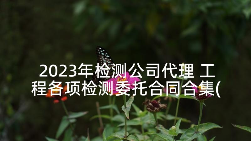 2023年检测公司代理 工程各项检测委托合同合集(实用8篇)