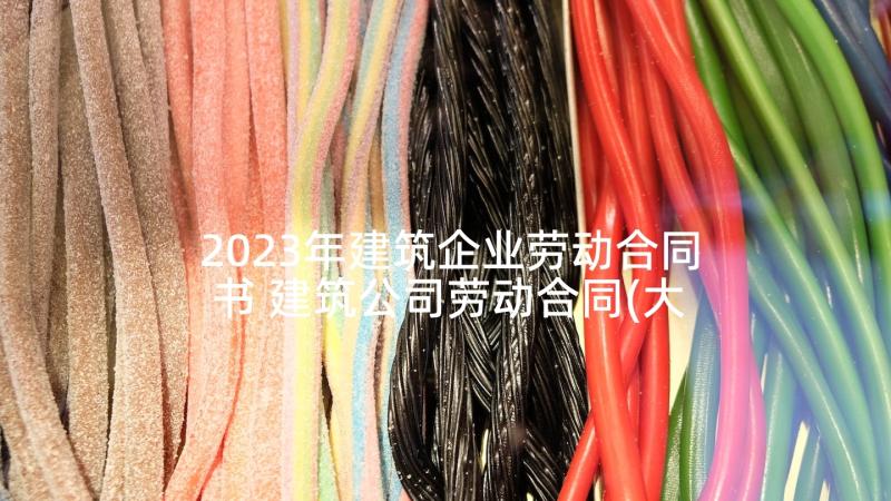 2023年建筑企业劳动合同书 建筑公司劳动合同(大全5篇)