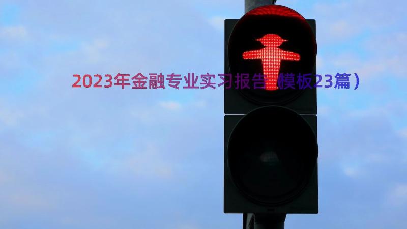 2023年金融专业实习报告（模板23篇）