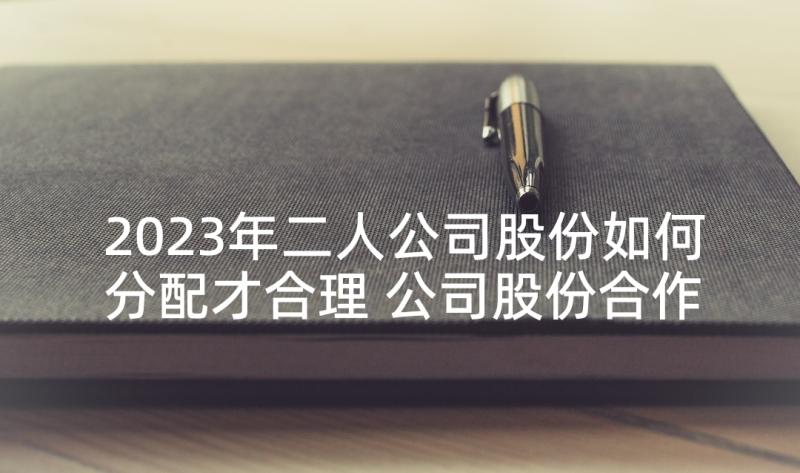 2023年二人公司股份如何分配才合理 公司股份合作合同(通用5篇)