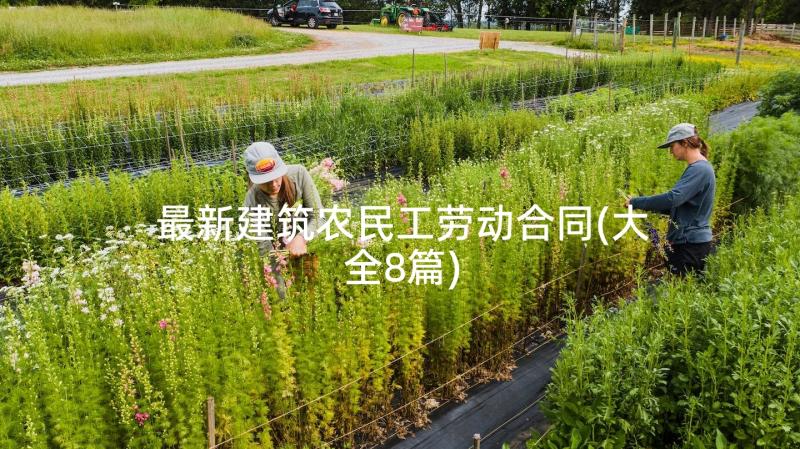 最新建筑农民工劳动合同(大全8篇)