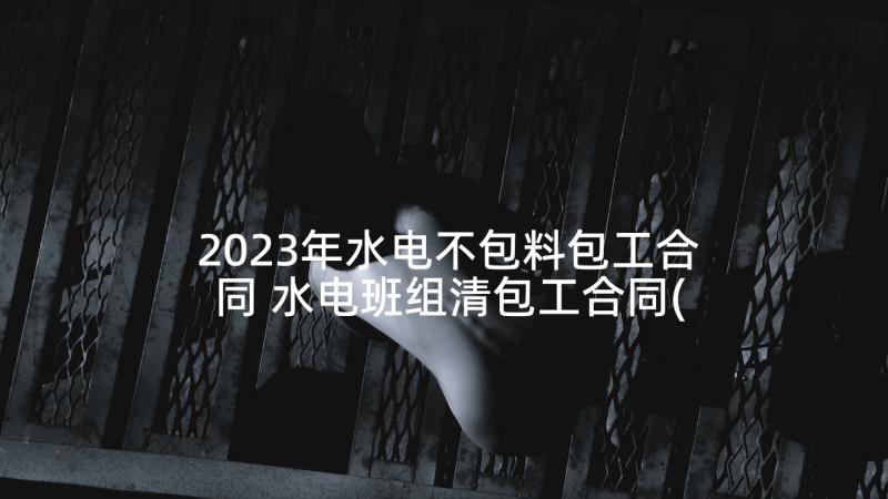 2023年水电不包料包工合同 水电班组清包工合同(实用5篇)