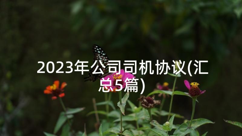 2023年公司司机协议(汇总5篇)