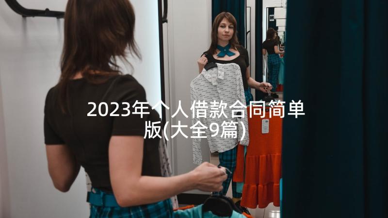 2023年个人借款合同简单版(大全9篇)