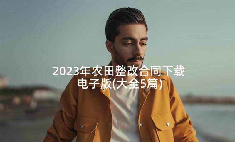 2023年农田整改合同下载电子版(大全5篇)