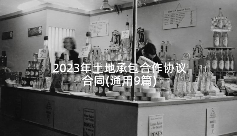 2023年土地承包合作协议合同(通用9篇)