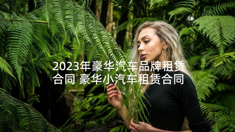 2023年豪华汽车品牌租赁合同 豪华小汽车租赁合同(实用5篇)