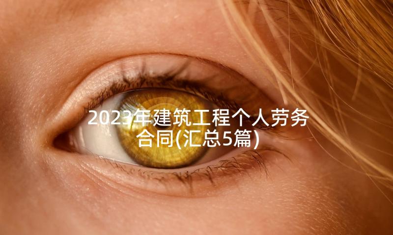 2023年建筑工程个人劳务合同(汇总5篇)