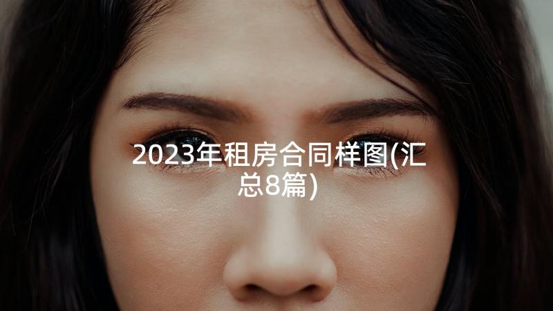 2023年租房合同样图(汇总8篇)