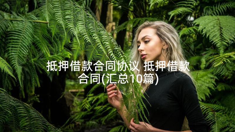 抵押借款合同协议 抵押借款合同(汇总10篇)