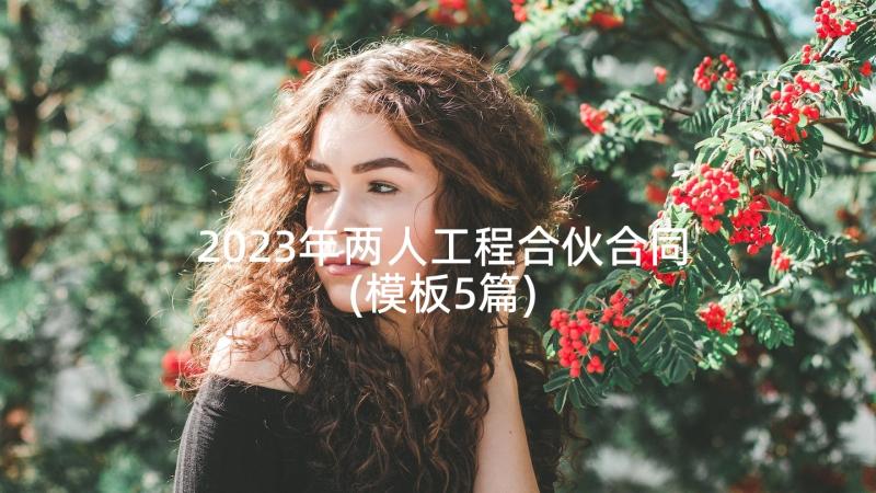 2023年两人工程合伙合同(模板5篇)