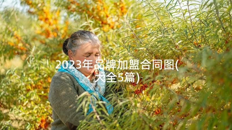 2023年品牌加盟合同图(大全5篇)