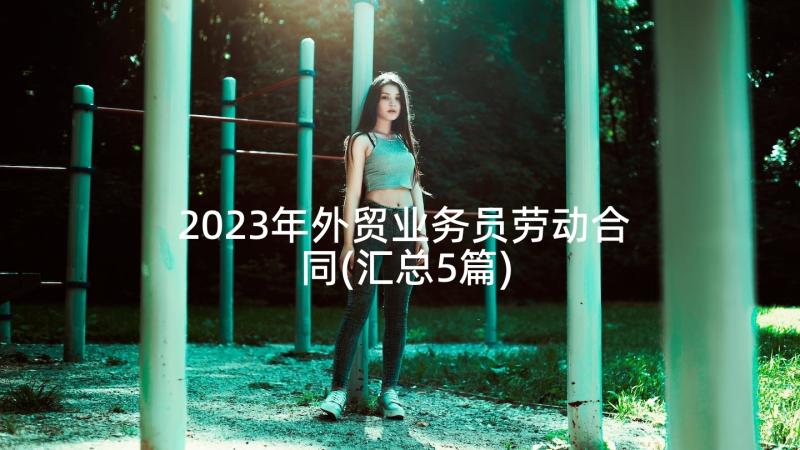 2023年外贸业务员劳动合同(汇总5篇)