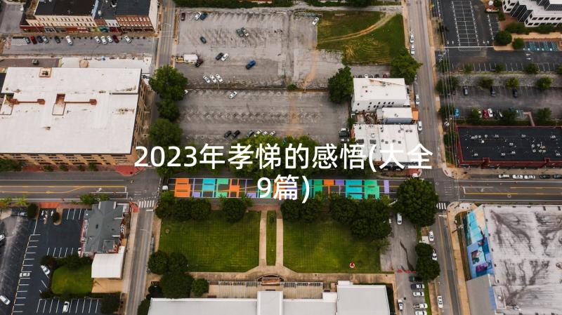 2023年孝悌的感悟(大全9篇)