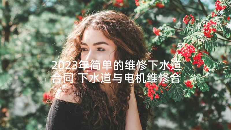 2023年简单的维修下水道合同 下水道与电机维修合同实用(模板5篇)