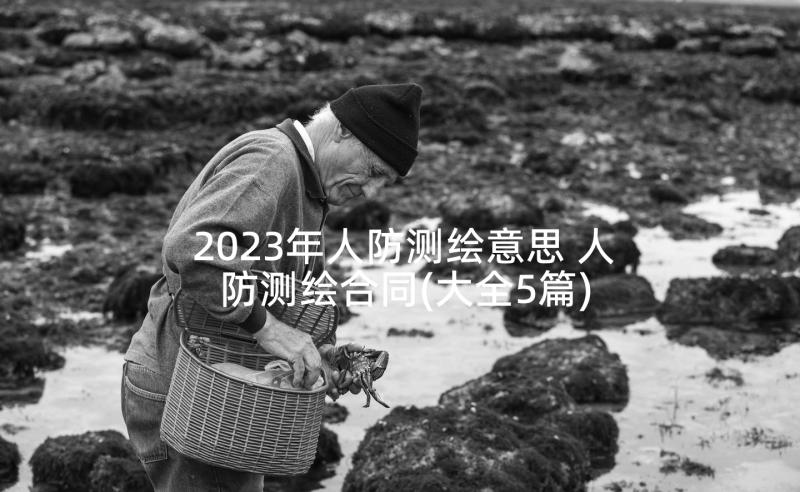 2023年人防测绘意思 人防测绘合同(大全5篇)