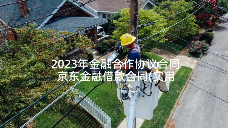 2023年金融合作协议合同 京东金融借款合同(实用5篇)