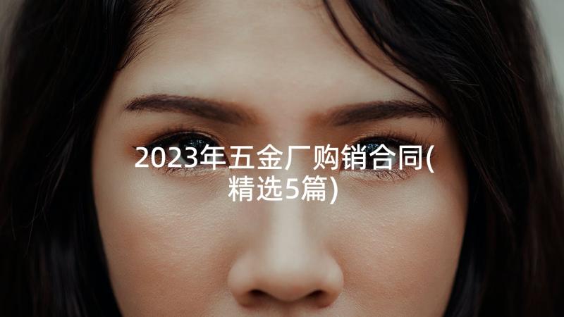 2023年五金厂购销合同(精选5篇)