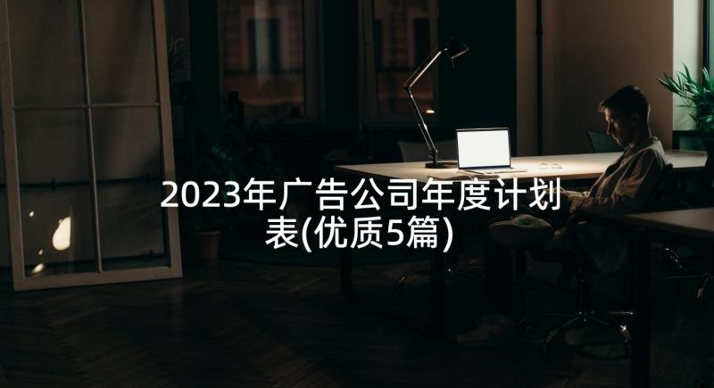 2023年广告公司年度计划表(优质5篇)