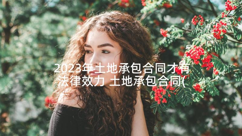 2023年土地承包合同才有法律效力 土地承包合同(通用10篇)