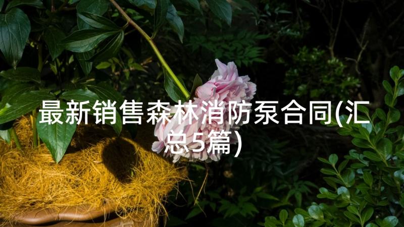 最新销售森林消防泵合同(汇总5篇)