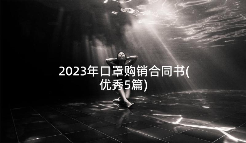 2023年口罩购销合同书(优秀5篇)