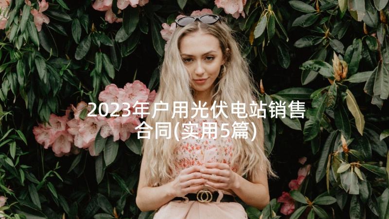 2023年户用光伏电站销售合同(实用5篇)