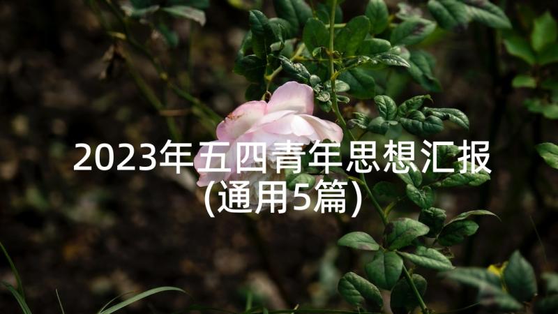 2023年五四青年思想汇报(通用5篇)