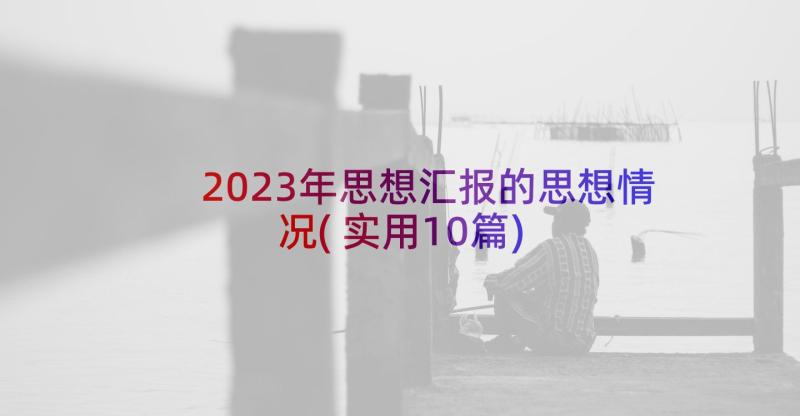 2023年思想汇报的思想情况(实用10篇)