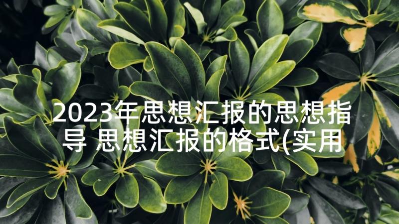 2023年思想汇报的思想指导 思想汇报的格式(实用9篇)