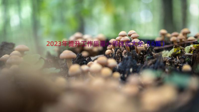 2023年提升工作质量心得体会大全（16篇）