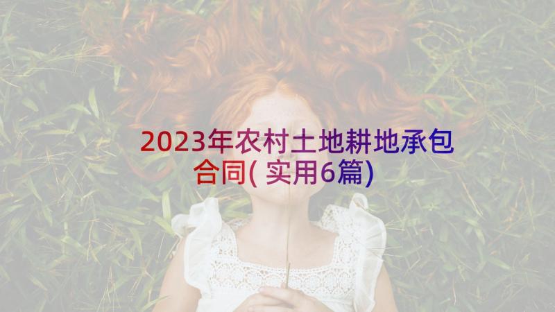 2023年农村土地耕地承包合同(实用6篇)