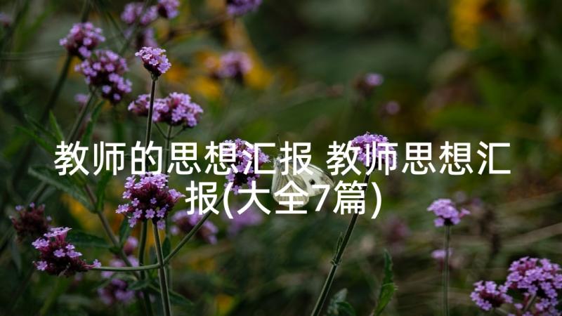 教师的思想汇报 教师思想汇报(大全7篇)