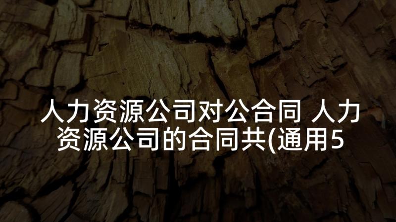 人力资源公司对公合同 人力资源公司的合同共(通用5篇)